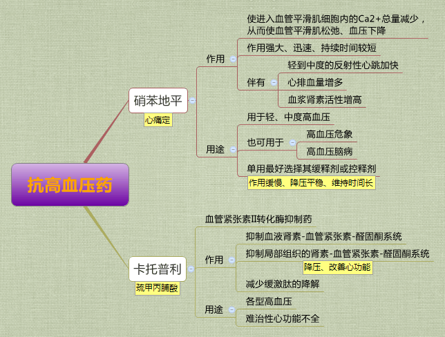 社区科研项目查询